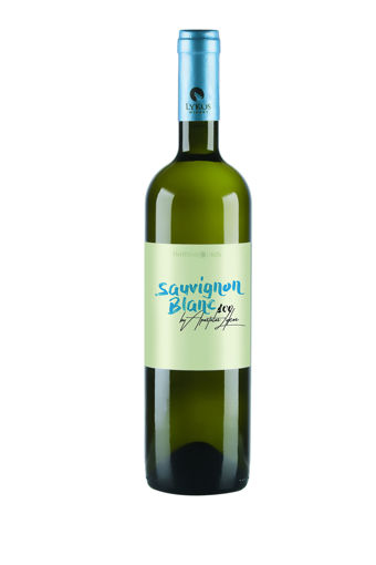 Picture of Sauvignon Blanc 2021 - Lykos Winery